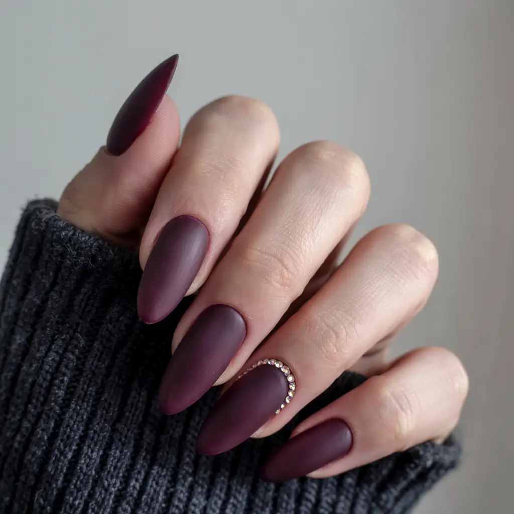 modern dark nail inspo winter 2025 2026 Plum Velvet