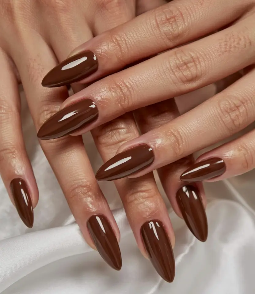 brown nails 2026 Glossy Chocolate Daggers