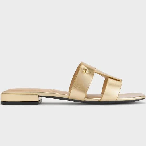 shoes Charles & Keith Petina Leather Slide Sandals charleskeith.com $103