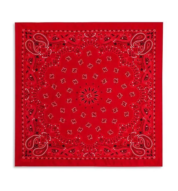 accessory The Great Women's. The Silk Bandana Lyst $65