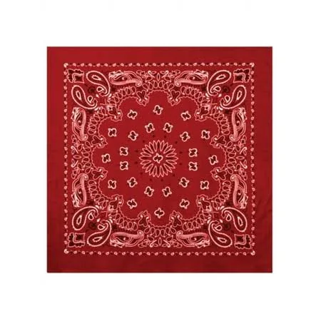 Rothco Trainmen Paisley Bandana