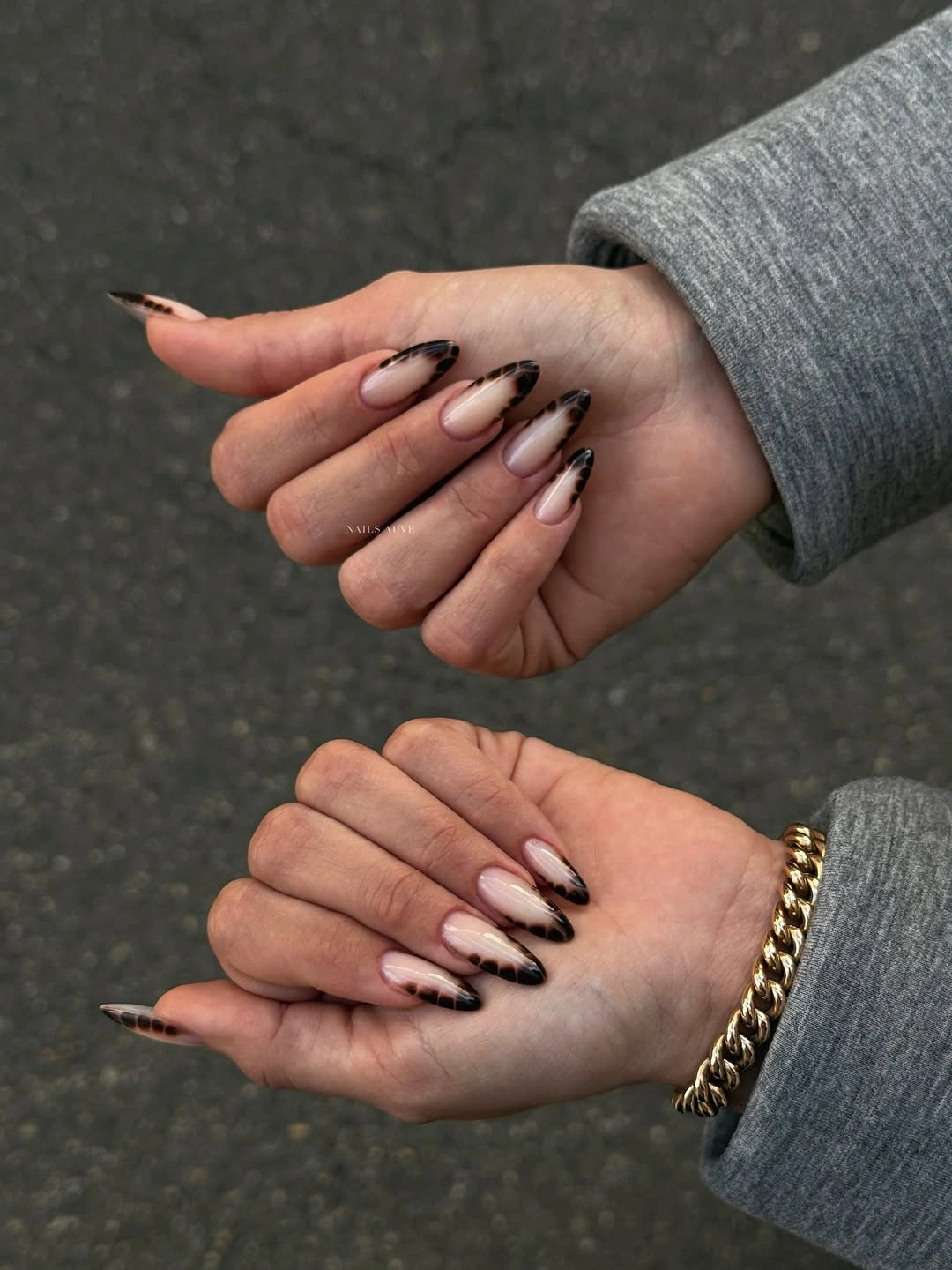 Fall almond nails 2026 Modern Tortoiseshell French Tips with a Chic Edge
