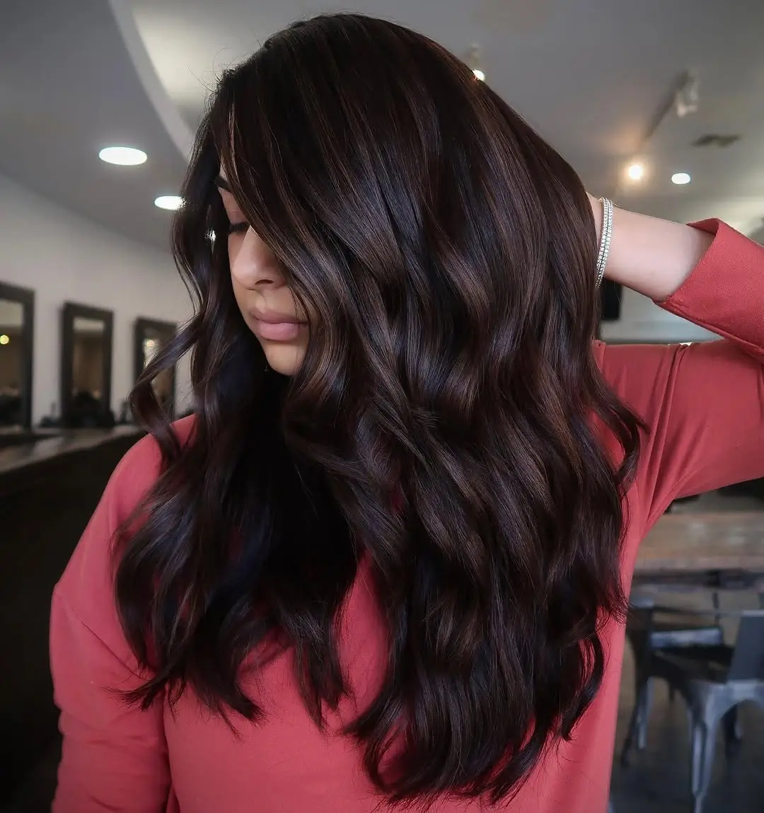 Fall brunette hair colour 2026 Deep Black Cherry Brunette with Mirror Gloss
