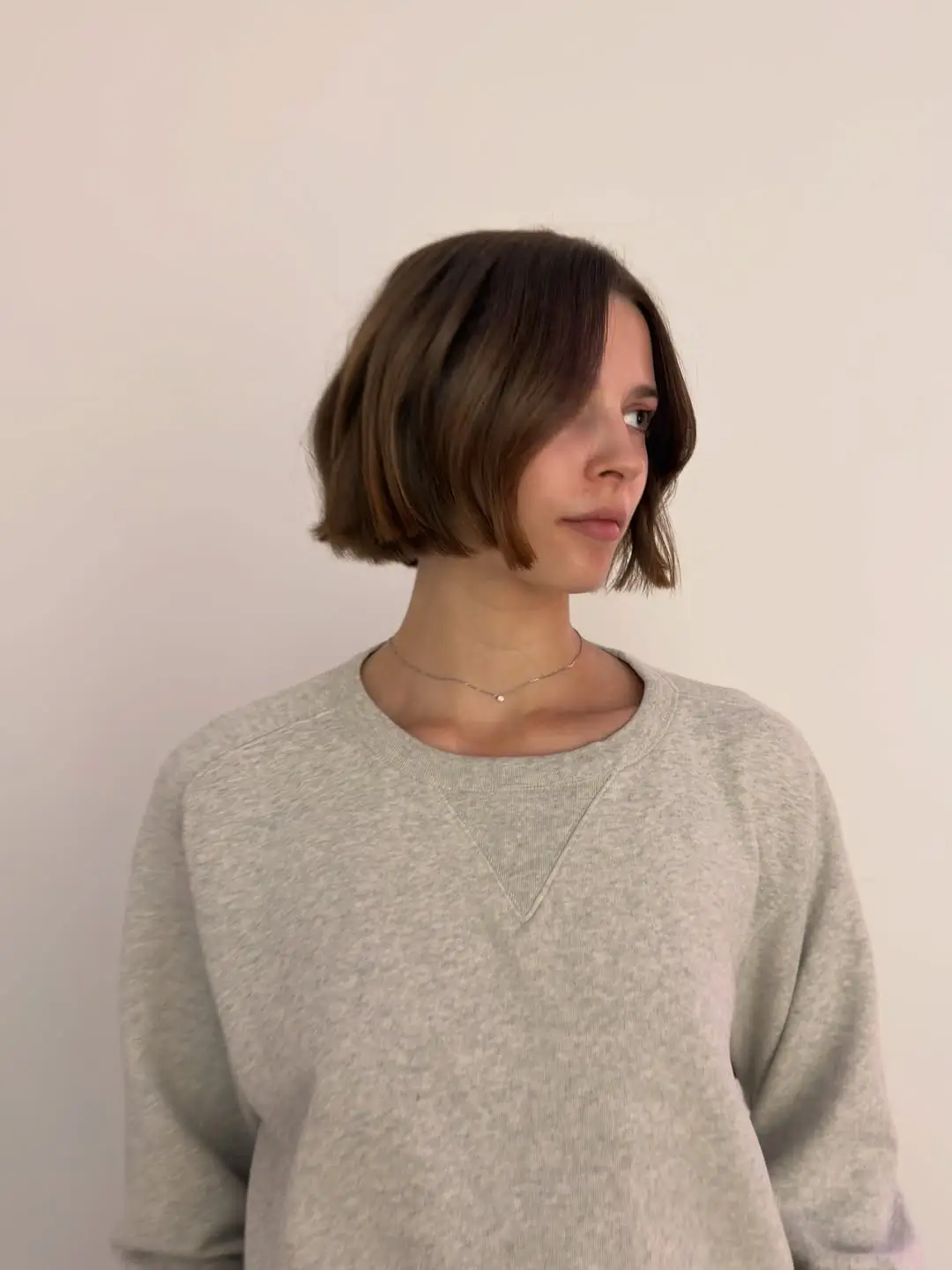fall French Bob 2026 Classic Center-Part French Bob with Sleek Autumn Finish