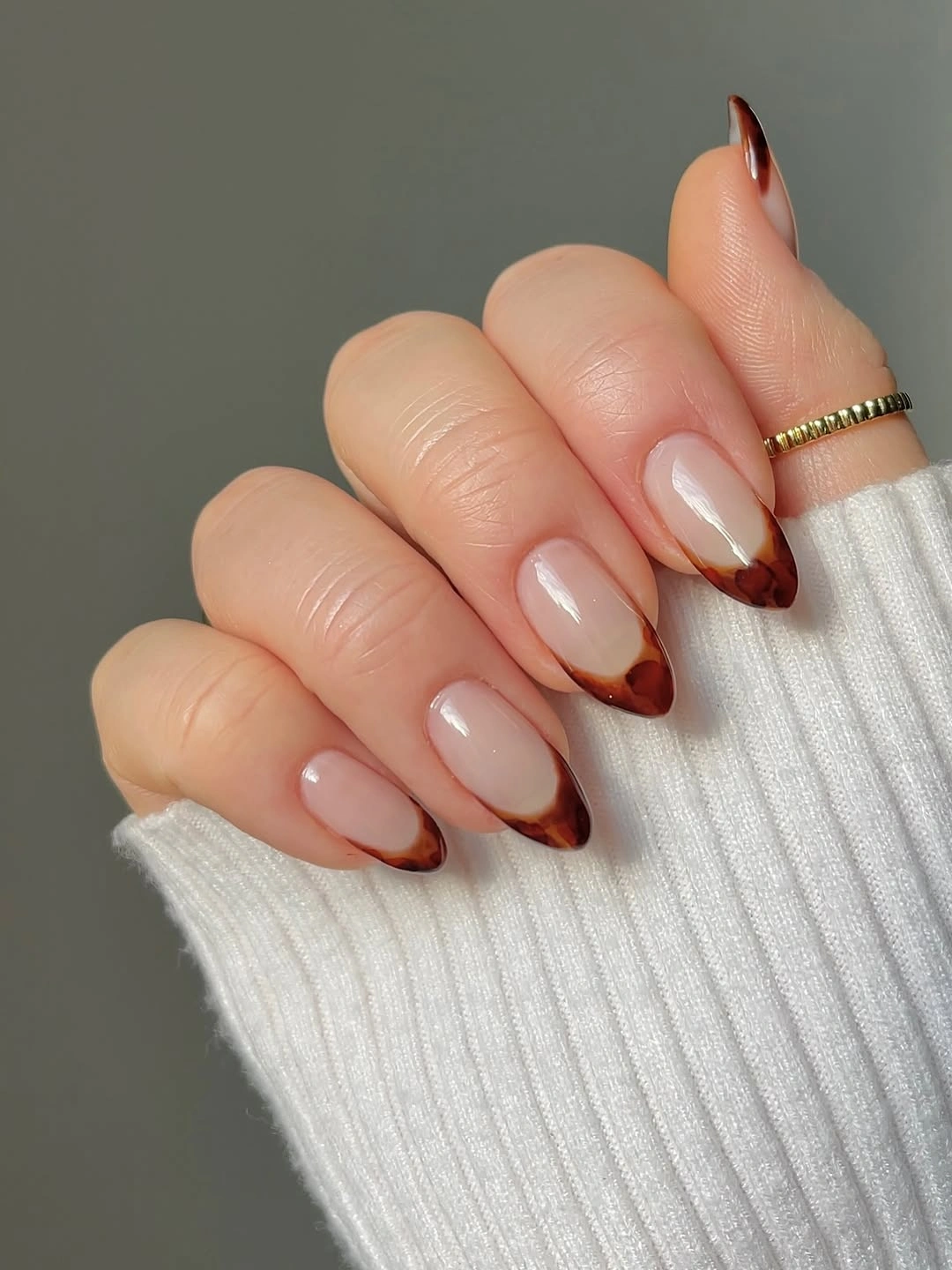 Fall Manicure 2026 Elegant Tortoiseshell French Tips for a Modern Classic
