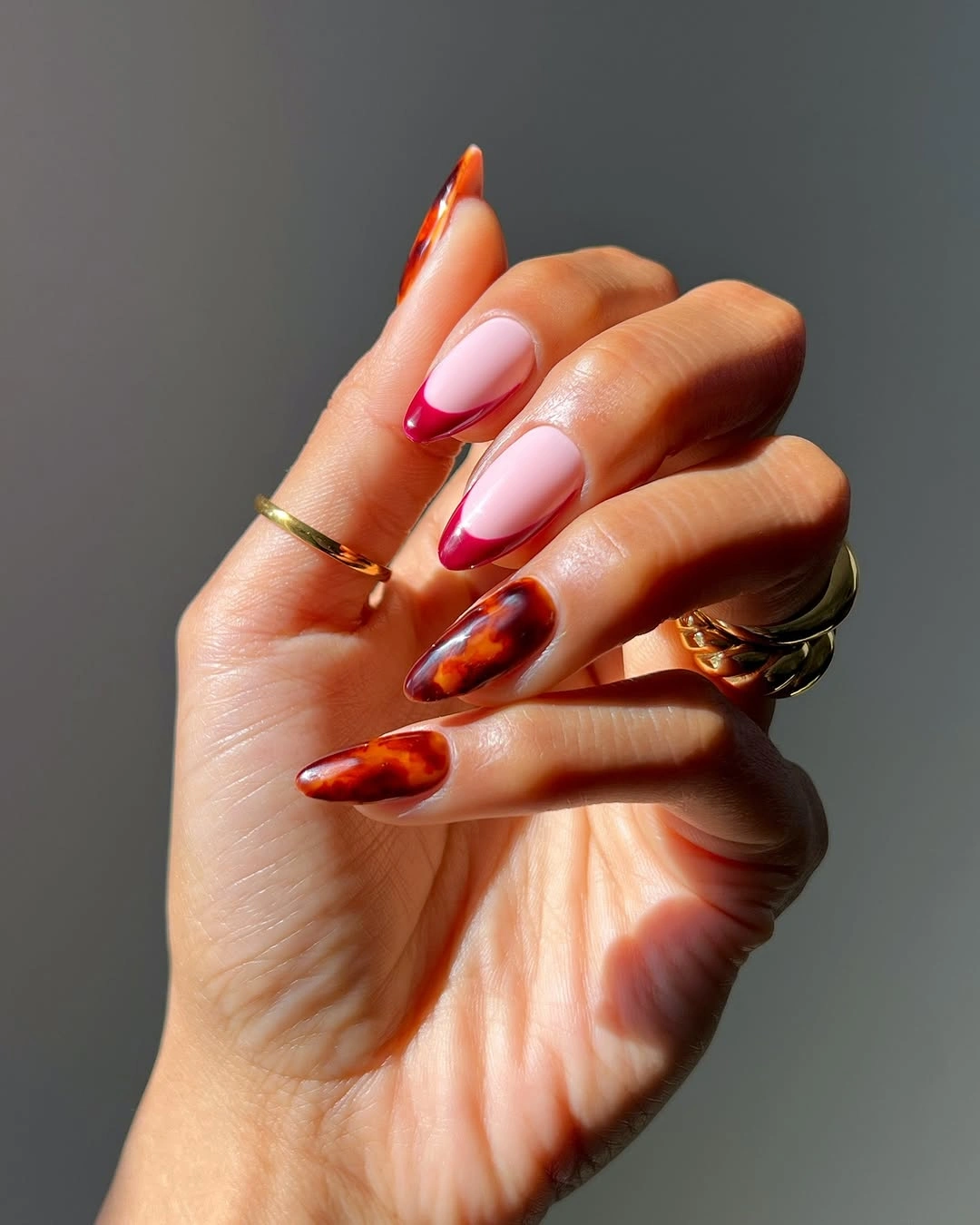 Fall nail art 2026 Glossy Berry French Tips with Tortoiseshell Accent Nails