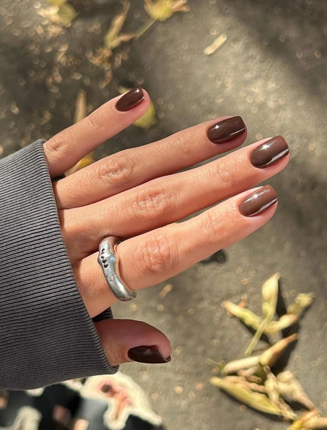 Fall short nails 2026 Rich Cocoa Nails For Everyday Quiet Luxury