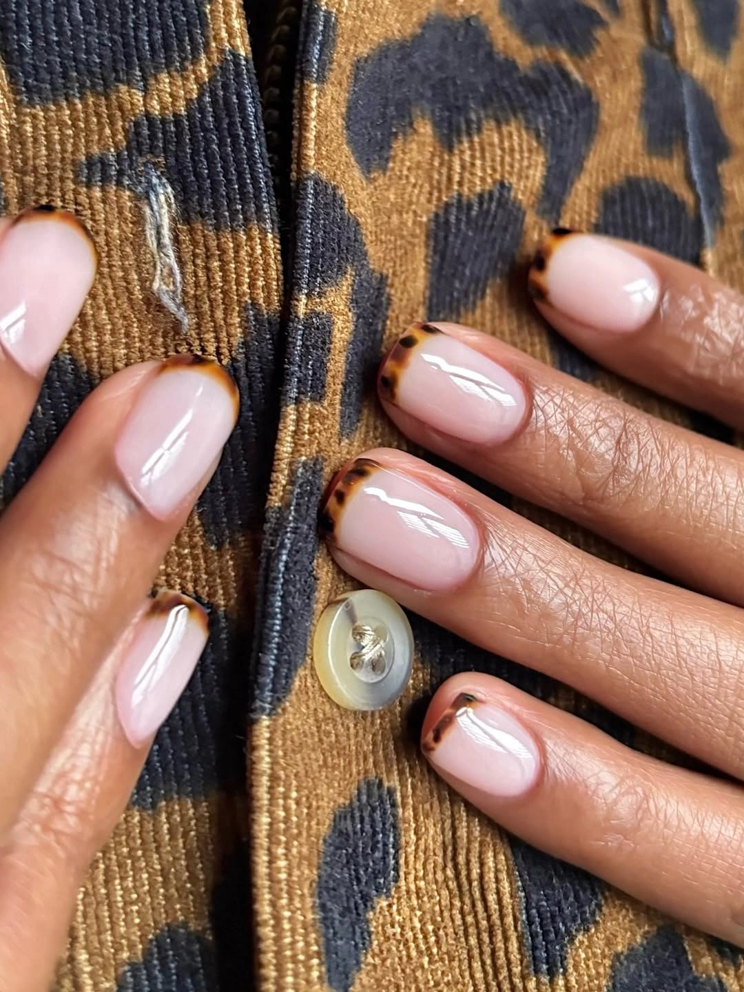 Fall short nails 2026 Minimal Tortoiseshell French Tips With Modern Flair