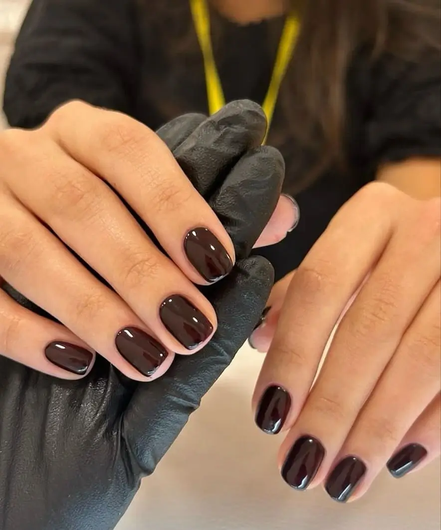 Early Fall Nails 2026 Deep Espresso Nails That Go With Everything