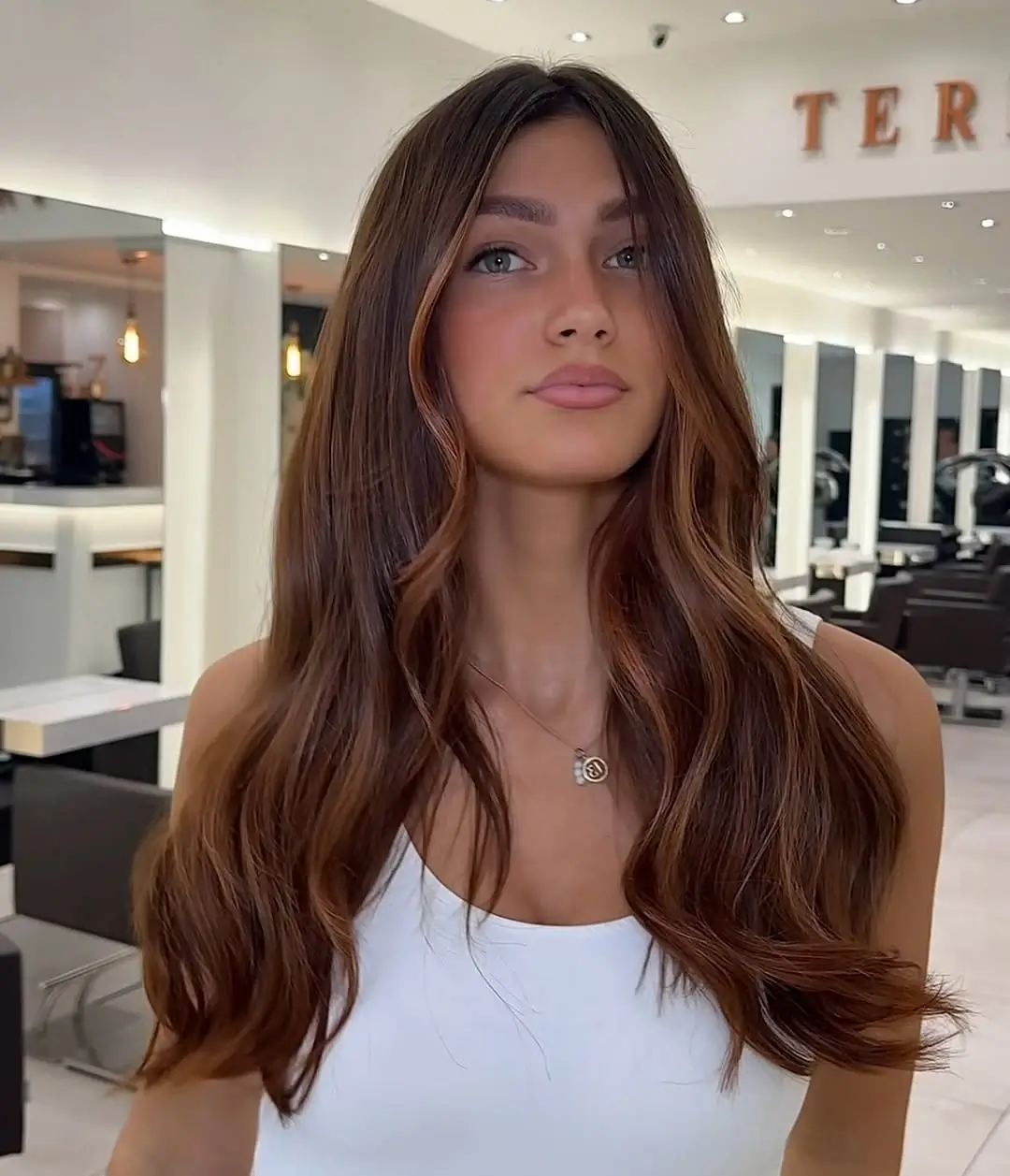 Fall brown hair colour ideas 2026 Chestnut Brunette With Soft Cinnamon Money Piece