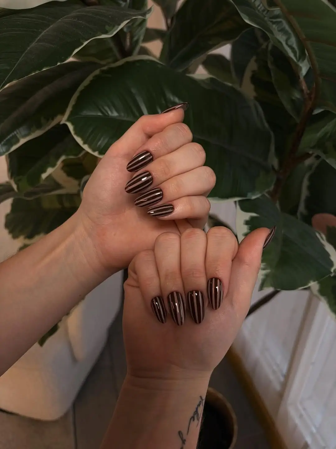 Fall manicure ideas 2026 Chocolate Pinstripe Nails With Chic Minimalist Art