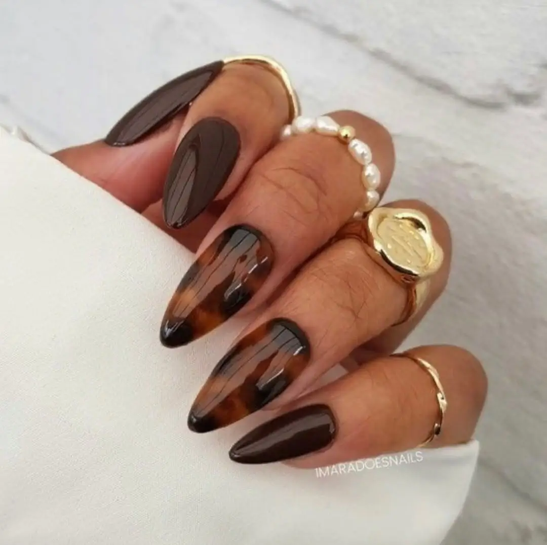 Fall manicure ideas 2026 Glossy Tortoiseshell Accent Nails With Dark Chocolate Polish