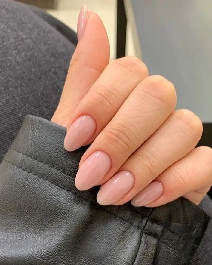 Fall short almond nails 2026 Classic Blush Nails for Everyday Elegance