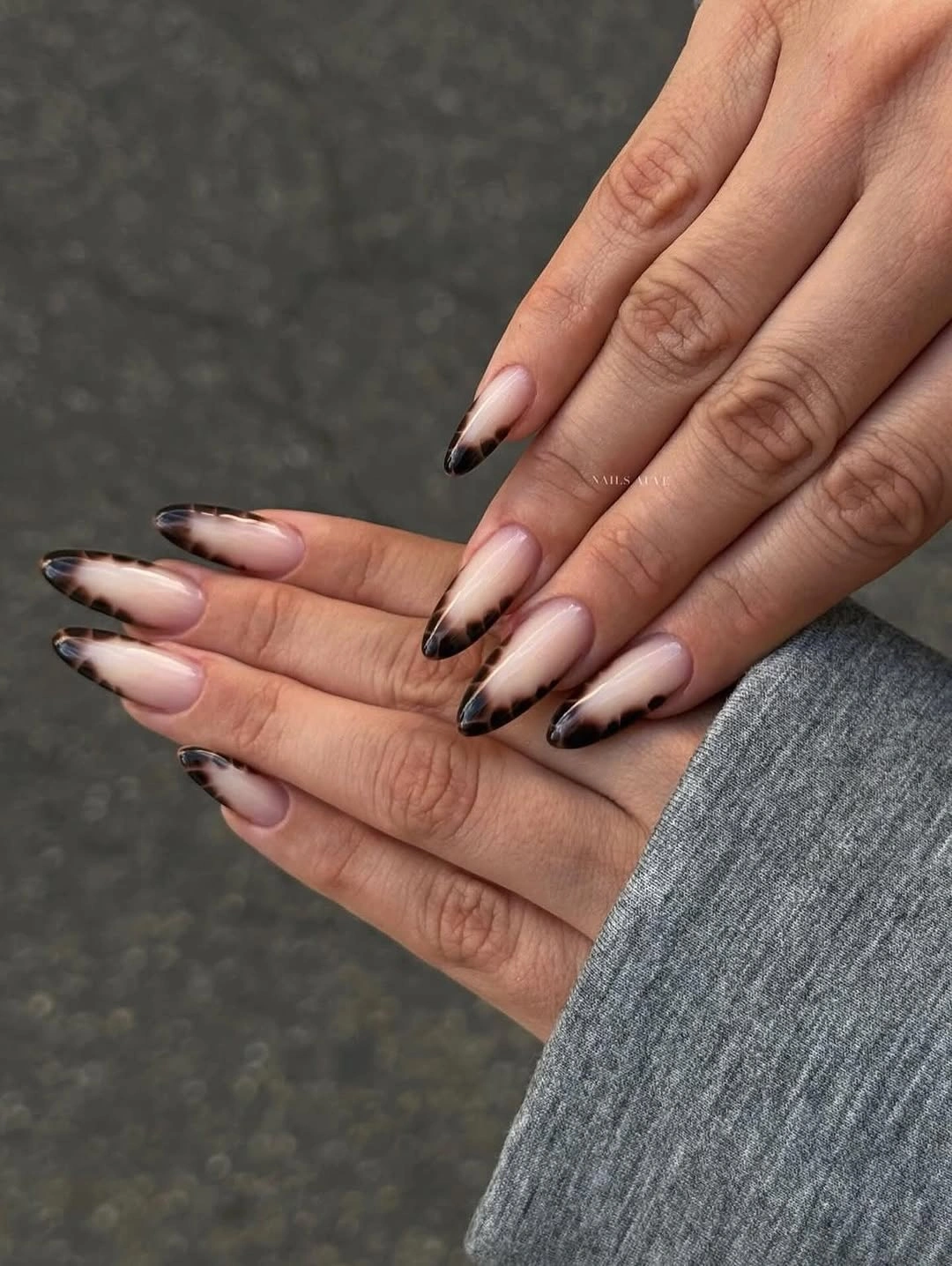 fall trendy nails 2026 long almond nails with smoky tortoiseshell tips