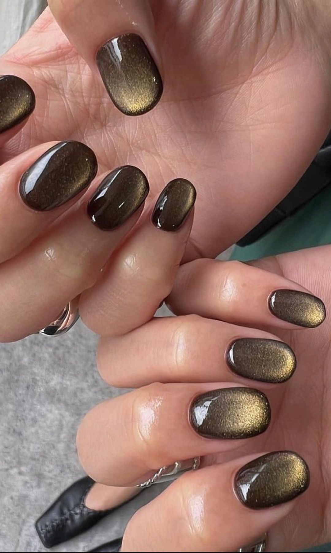 Dark Brown Cat-Eye Nails — Simple Winter Nails