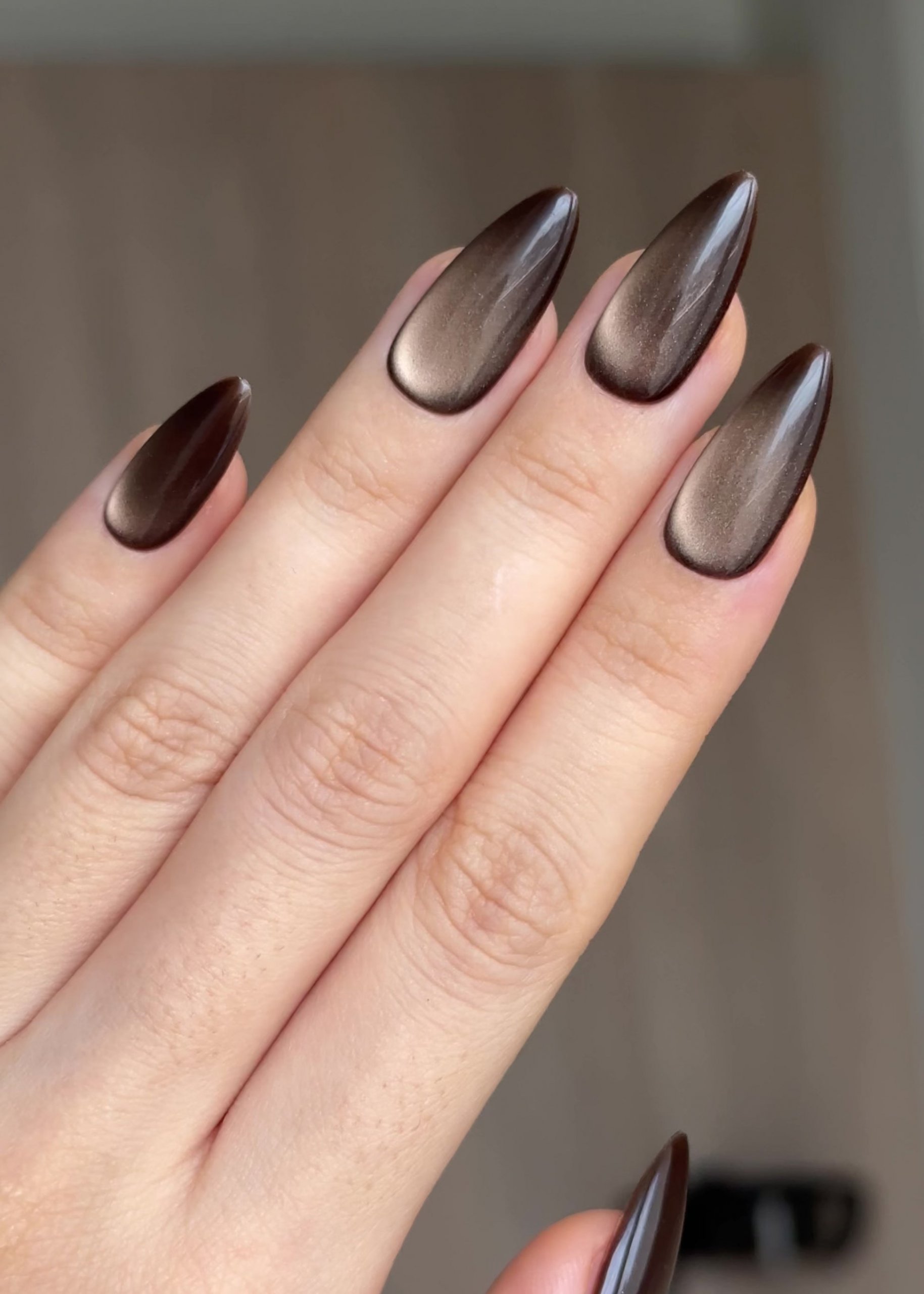 Deep Brown Golden Cat Eye Stilettos — Winter Cat Eye Nails