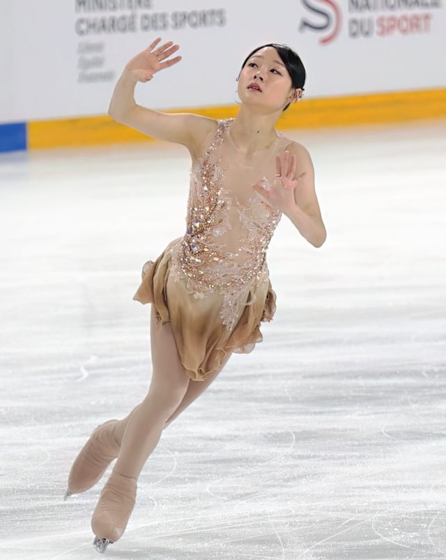 Sequin and Bead Embellished Figure Skating Dress with Layered Skirt Sequin and Bead Embellished Figure Skating Dress with Layered Skirt — Ice Skating Outfits