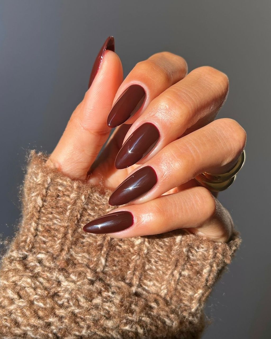 Deep Glossy Brown Stiletto Deep Glossy Brown Stiletto — Winter Stiletto Nails