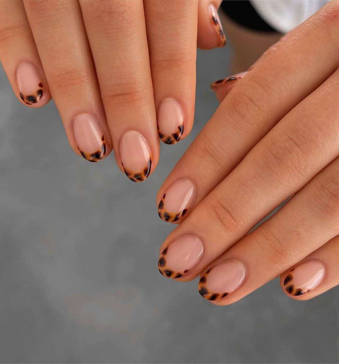 Short Oval Tortoiseshell French Tips — Winter French Tip Nails