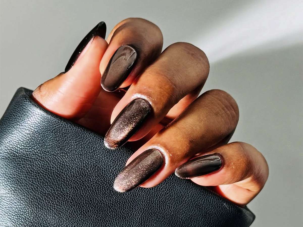 Dark Brown Magnetic Cat Eye Stilettos — Winter Cat Eye Nails
