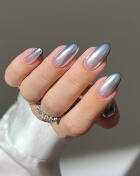 Medium Oval Visual Idea — Winter Gray Nails