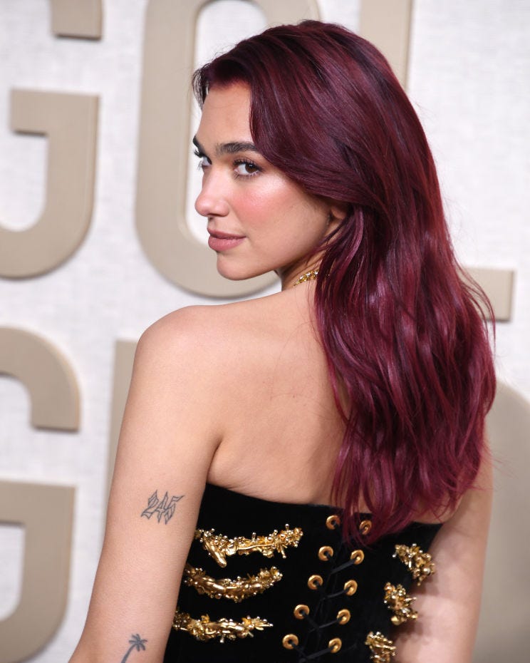 Vibrant Dark Red Solid Vibrant Dark Red Solid — Low Maintenance Winter Hair Colors