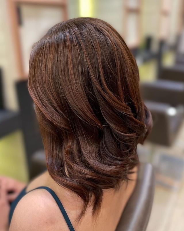 Rich Brown Bob with Auburn Undertones Rich Brown Bob with Auburn Undertones — Cinnamon Brown Hair