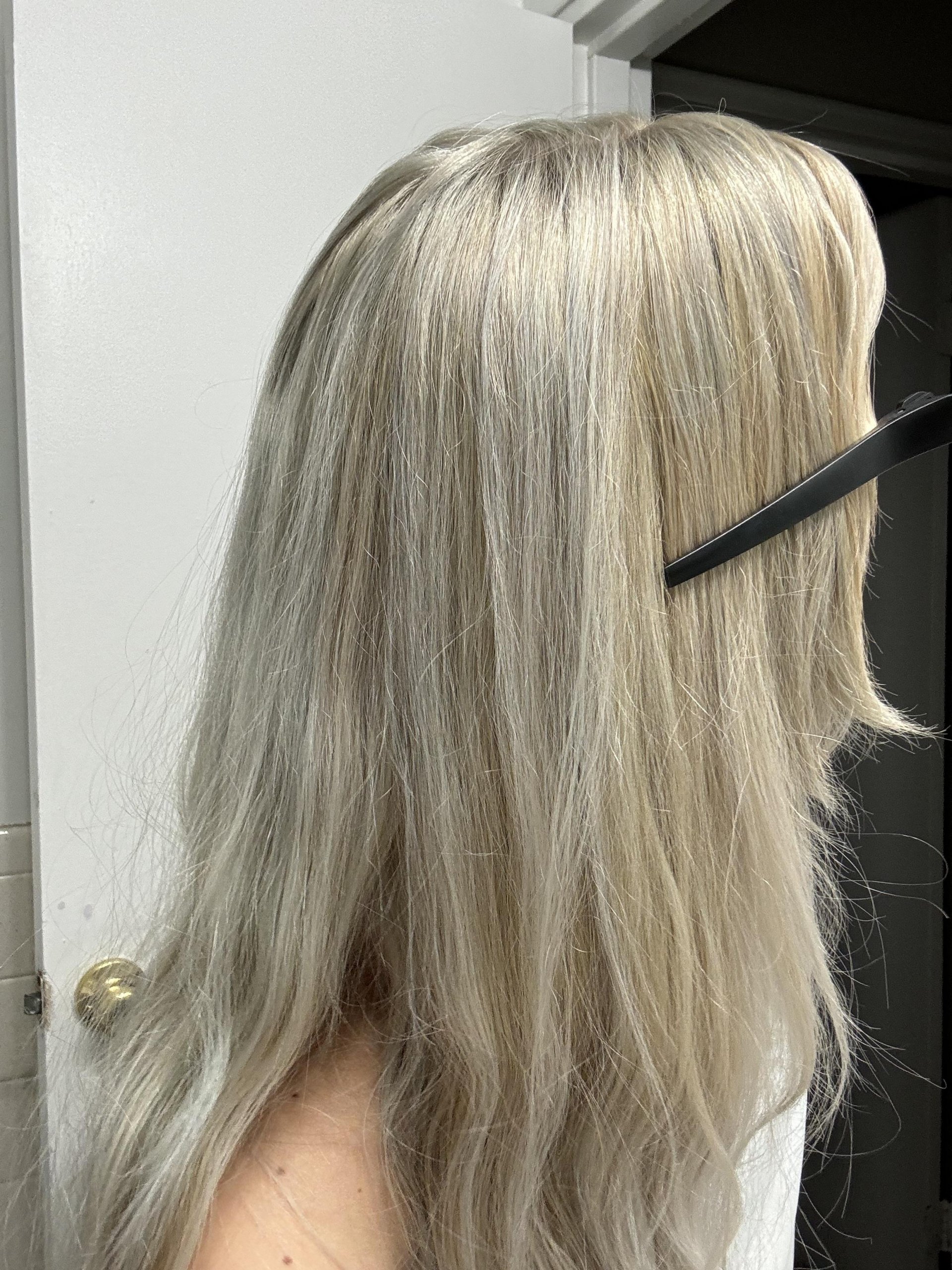 Layers Mid-Back Air-Dried Ash Blonde Highlights Layers Mid-Back Air-Dried Ash Blonde Highlights — Icy Blonde Hair