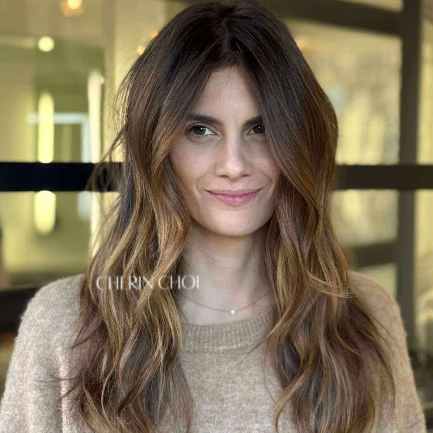 Mid-Back Dark Brown With Honey and Blonde Highlights Mid-Back Dark Brown With Honey and Blonde Highlights — Blonde to Brunette Hair