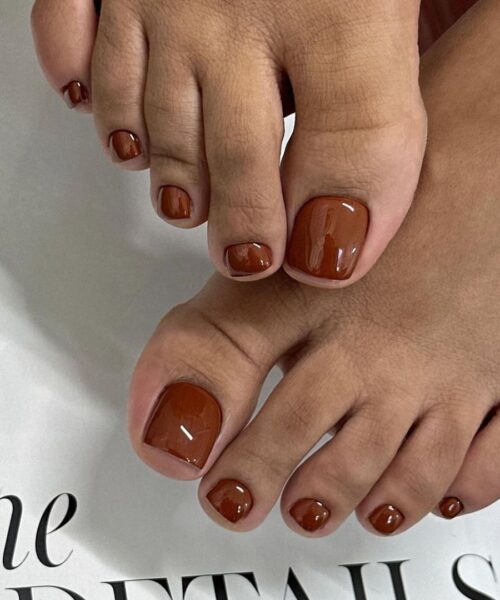 Rich Glossy Brown Winter Pedicure Rich Glossy Brown Winter Pedicure — Winter Pedicure Colors