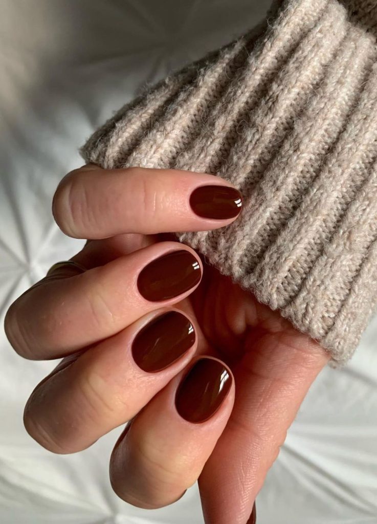 Deep Chocolate Brown Glossy Nails Deep Chocolate Brown Glossy Nails — Winter Nail Colors for Women Over 70