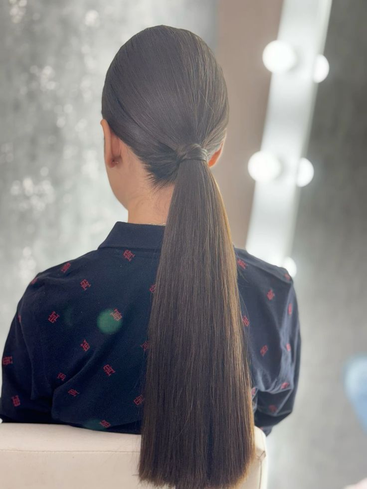 Sleek Low Ponytail Sleek Low Ponytail — Winter Natural Hairstyles