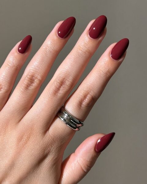 Glossy Classic Deep Red Stiletto Nails Glossy Classic Deep Red Stiletto Nails — Cherry Red Nails
