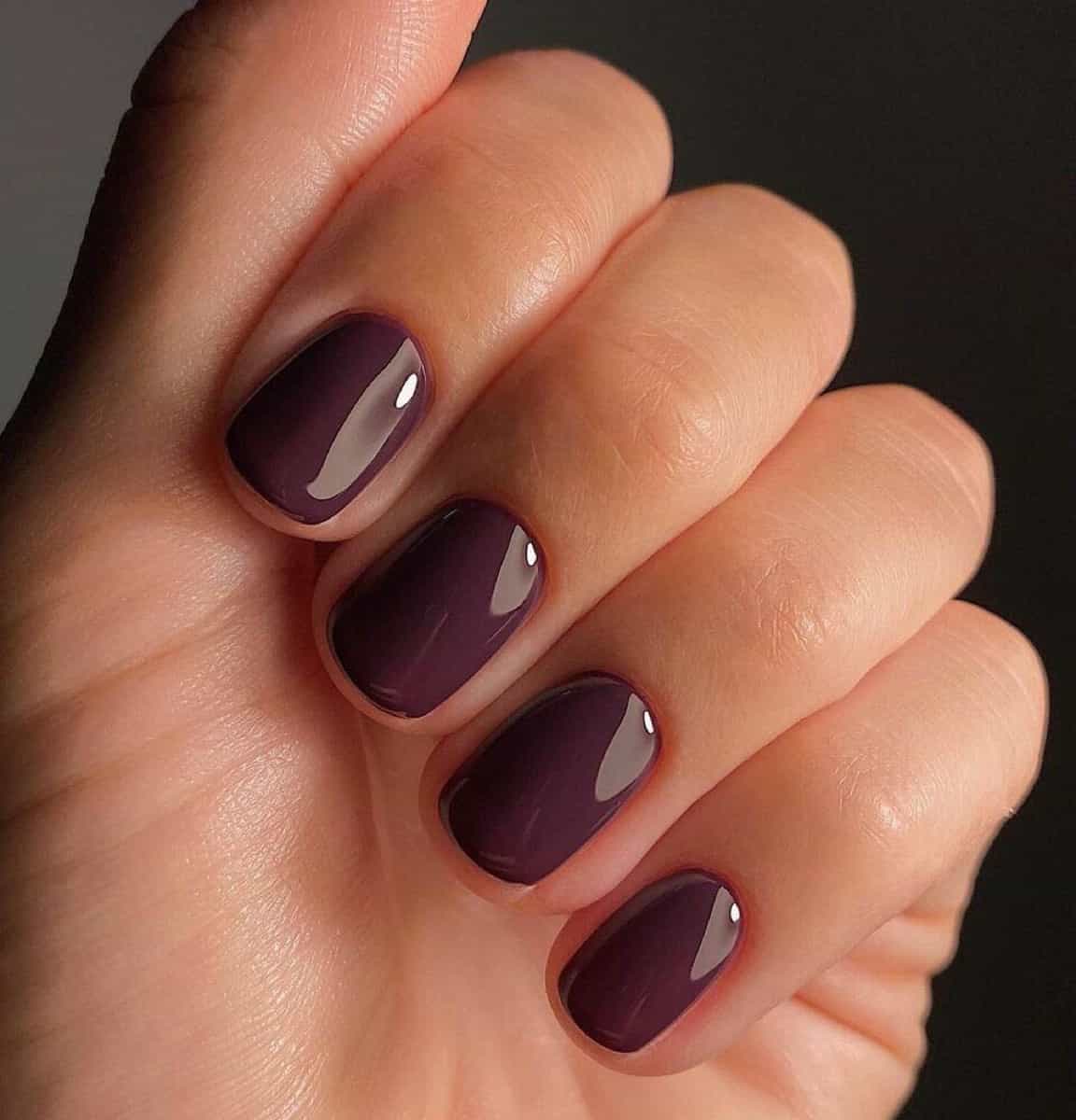 Deep Plum Glossy Square Nails Deep Plum Glossy Square Nails — Simple Short Winter Nails