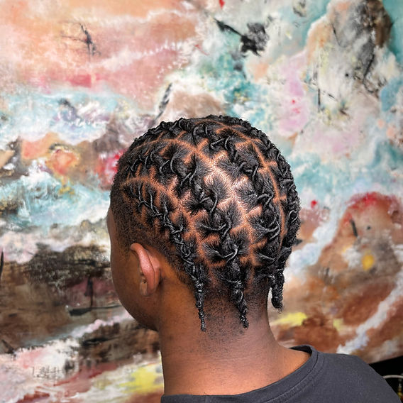 Twisted Locs with Diamond Parting — Winter Hairstyles for Black Women