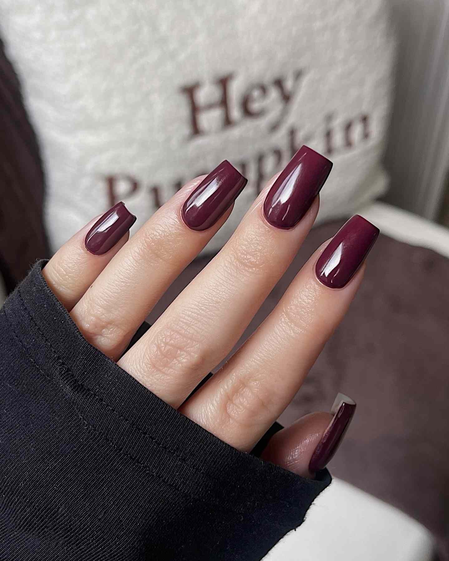 Deep Plum Visual Idea Deep Plum Visual Idea — Old Money Winter Nails