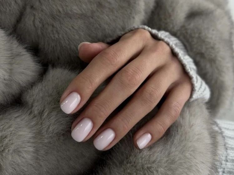 Short Oval Pale Pink Subtle Shimmer — Winter Champagne Nails