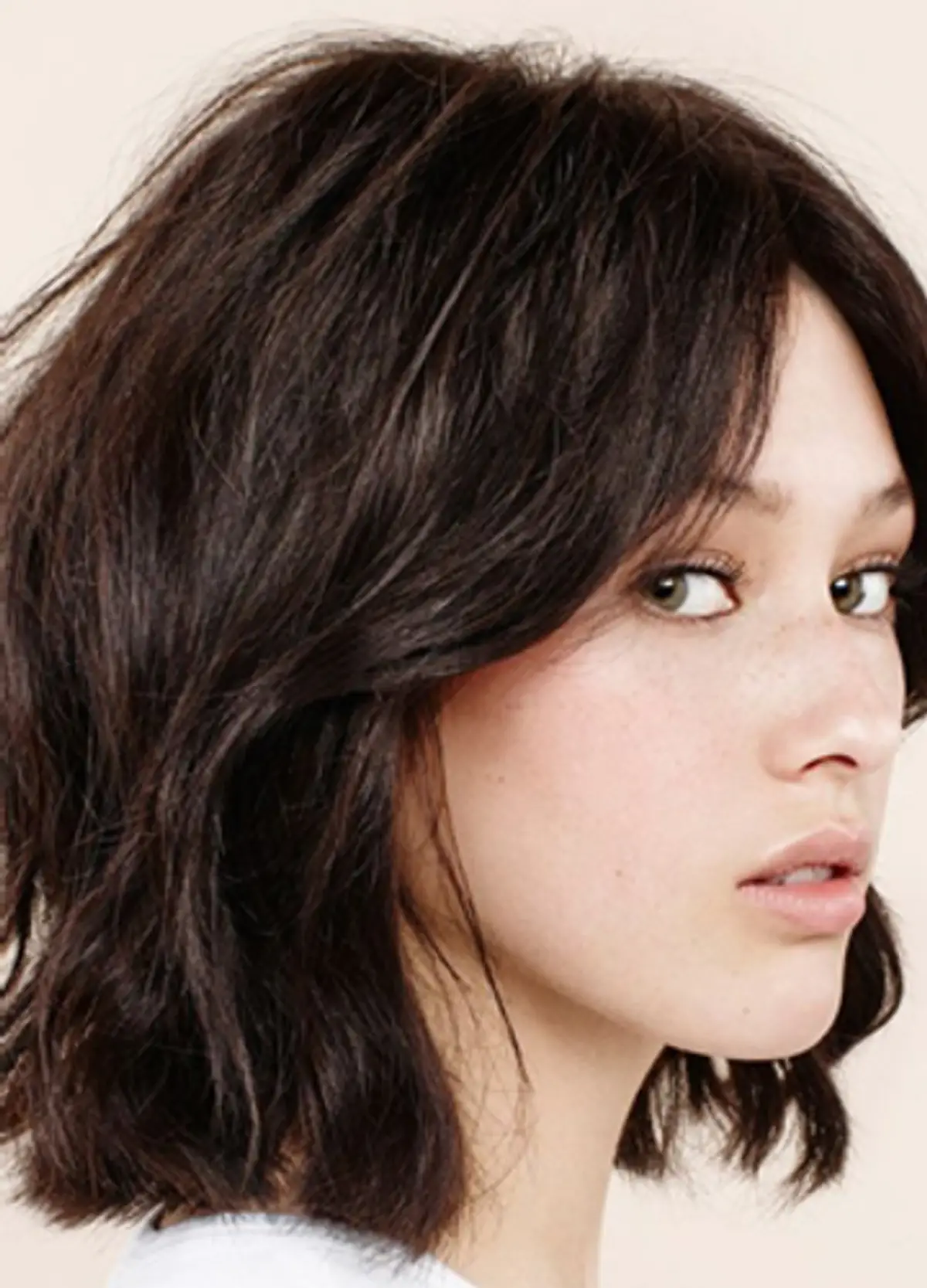 Collarbone Shag With Textured Curtain Bangs Collarbone Shag With Textured Curtain Bangs — Winter Haircuts for Round Faces