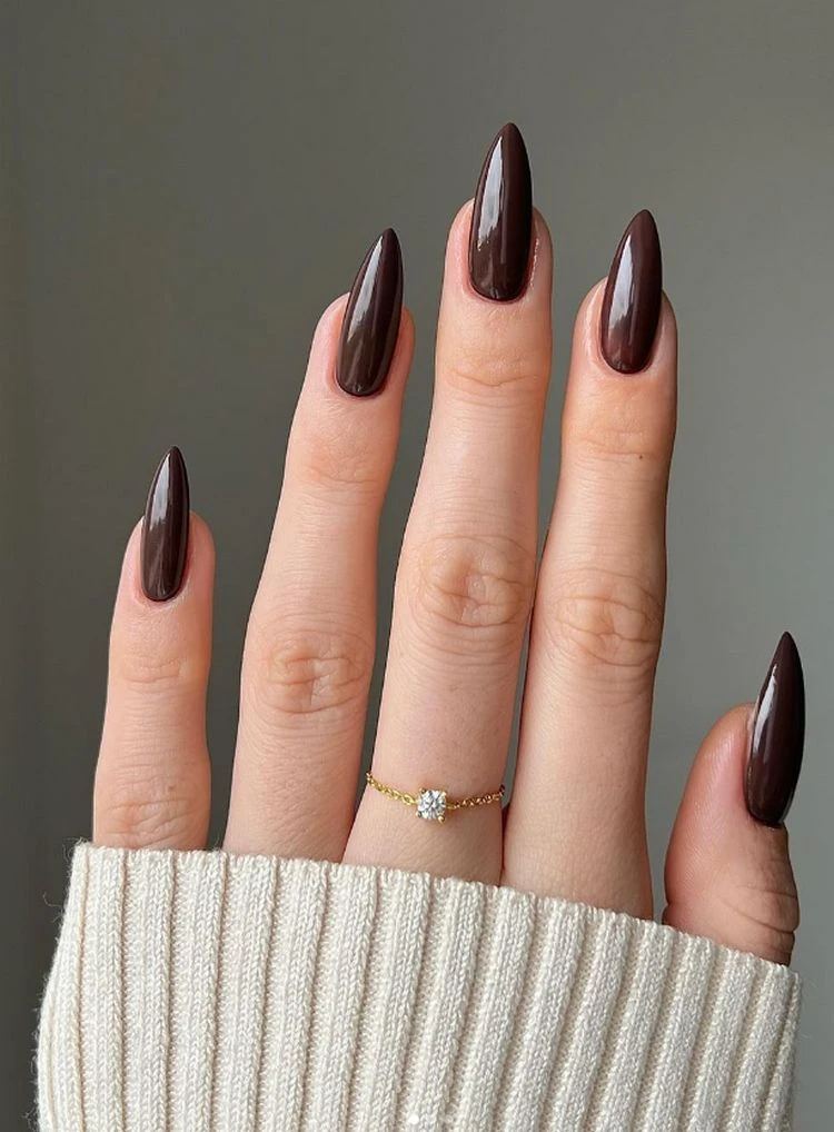 Glossy Dark Chocolate Brown Stilettos Glossy Dark Chocolate Brown Stilettos — Winter Nails for Black Women