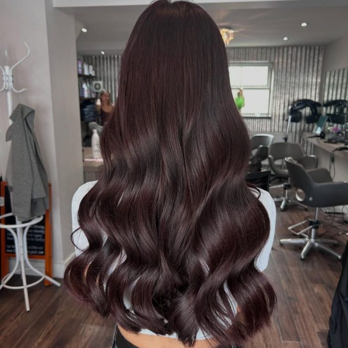 Deep Plum Burgundy Waves Deep Plum Burgundy Waves — Dark Winter Hair Colors