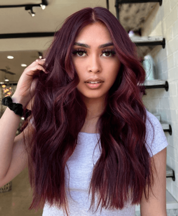 Deep Burgundy With Auburn Highlights Deep Burgundy With Auburn Highlights — Fall to Winter Hair Colors