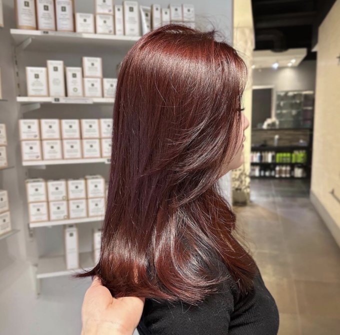 Layers Rich Burgundy Collarbone Blowout Layers Rich Burgundy Collarbone Blowout — Burgundy Hair Color