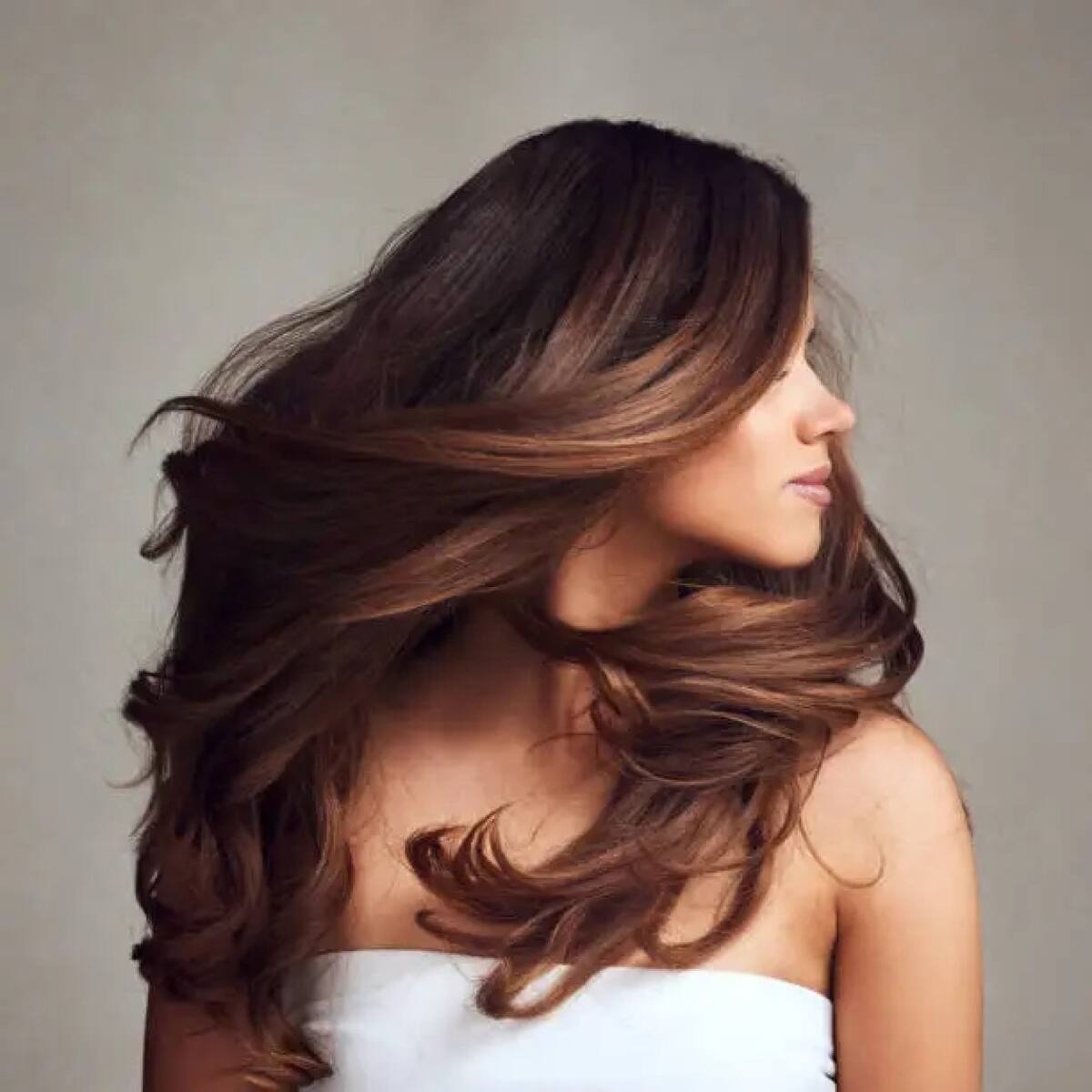 Dark Brown With Caramel Highlights Dark Brown With Caramel Highlights — Winter Brown Hair Colors