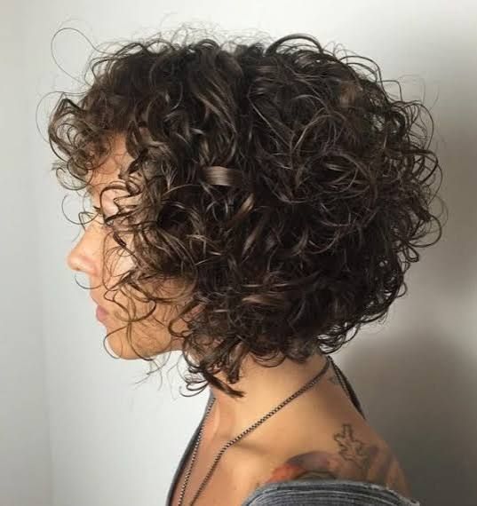 Dark Brown Chin Length Bob Dark Brown Chin Length Bob — Winter Hairstyles for Curly Hair