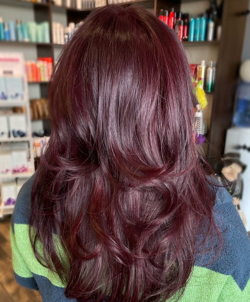 Mid-Back Deep Burgundy With Violet Undertones Mid-Back Deep Burgundy With Violet Undertones — Burgundy Hair Color