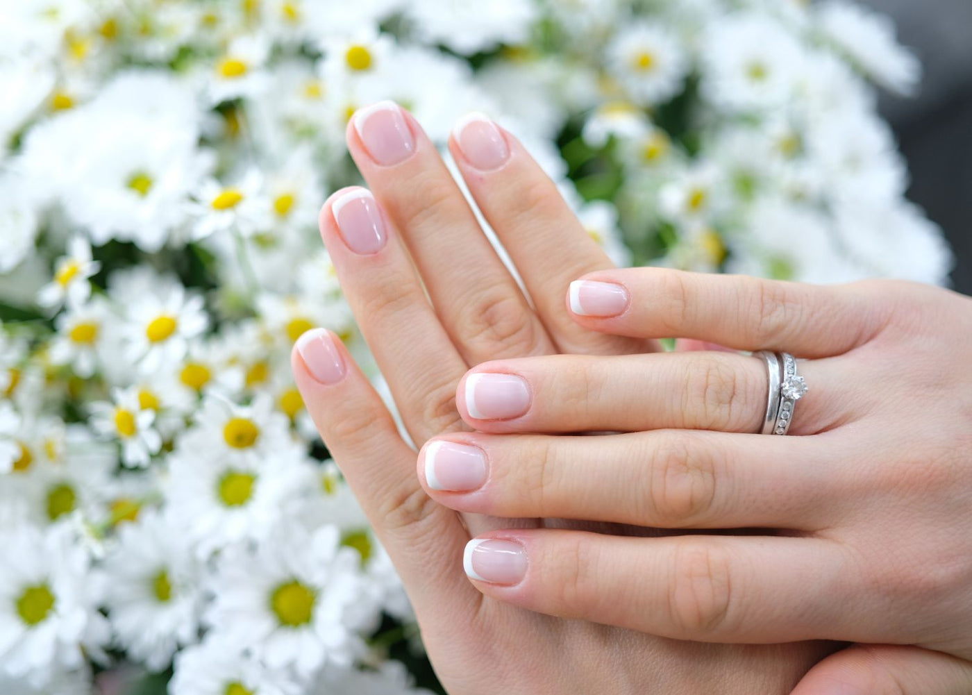 Short Square Classic French Manicure Short Square Classic French Manicure — Winter Wedding Nails