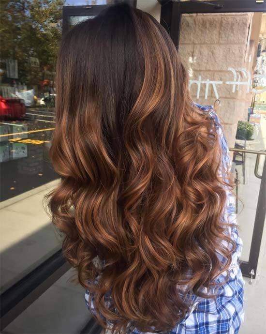 No Bangs Dark Brown with Cinnamon Brown Highlights No Bangs Dark Brown with Cinnamon Brown Highlights — Cinnamon Brown Hair