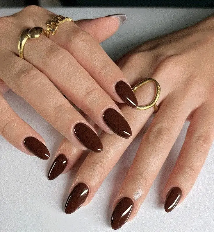 Medium Almond Glossy Chocolate Brown Nails Medium Almond Glossy Chocolate Brown Nails — Fall to Winter Nails