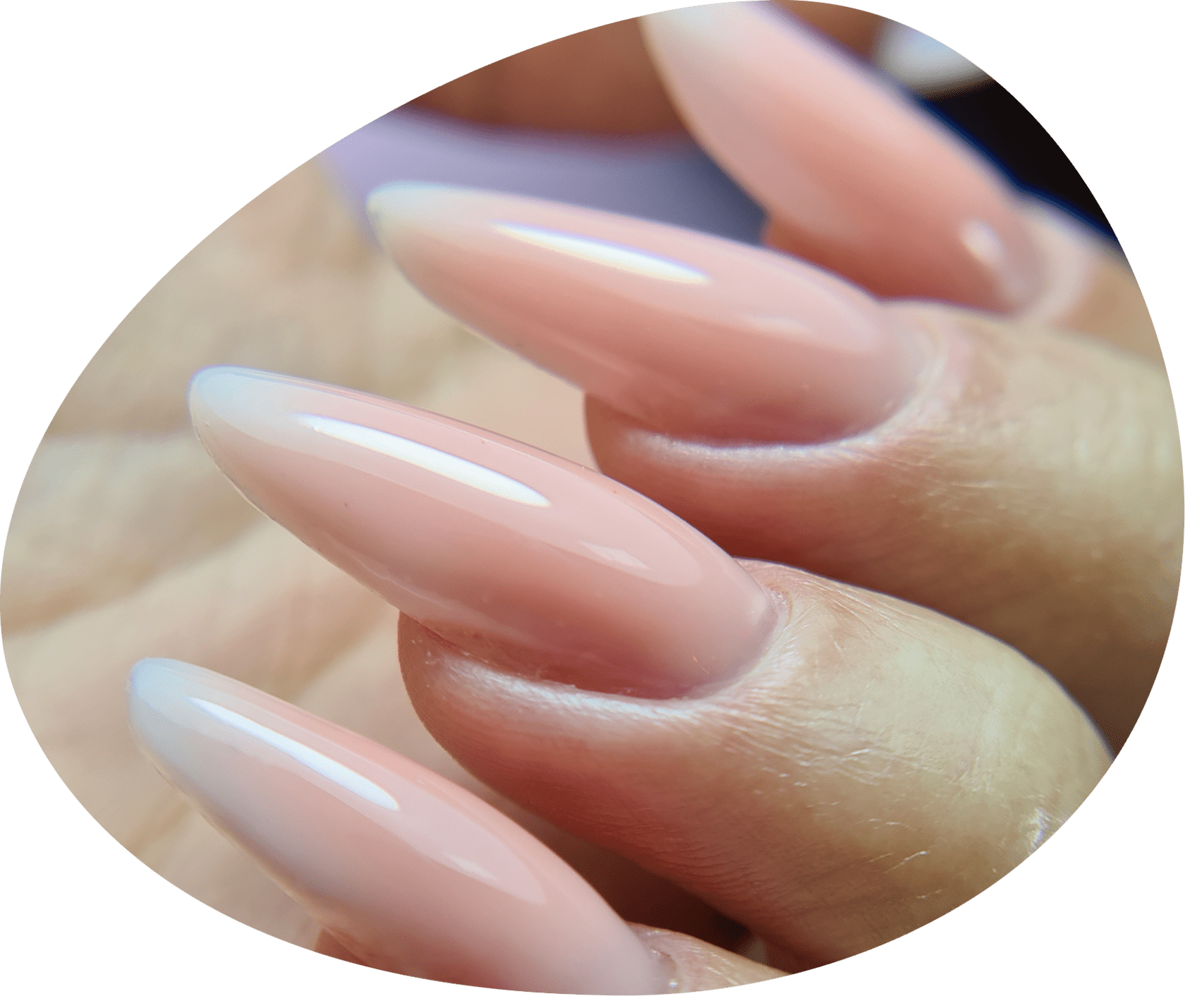 Classic French Ombre Almonds Classic French Ombre Almonds — Short Winter Almond Nails