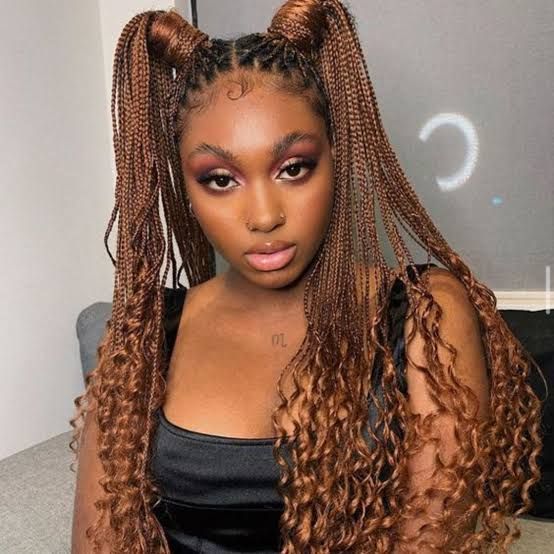 Brown Visual Idea Brown Visual Idea — Winter Braids for Black Women